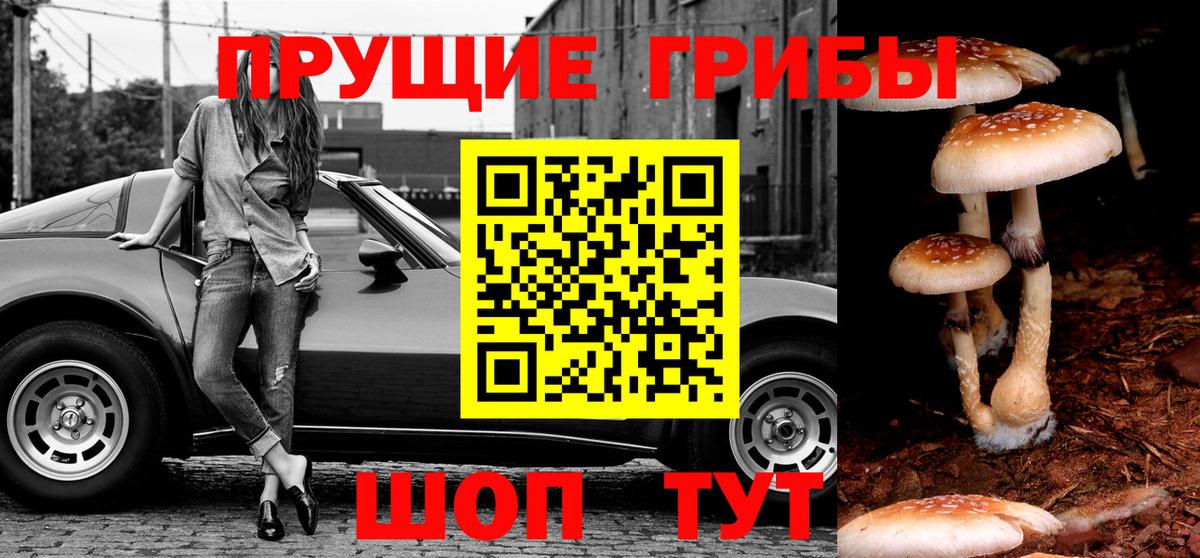 Псилоцибиновые грибы Cubensis Иркутск