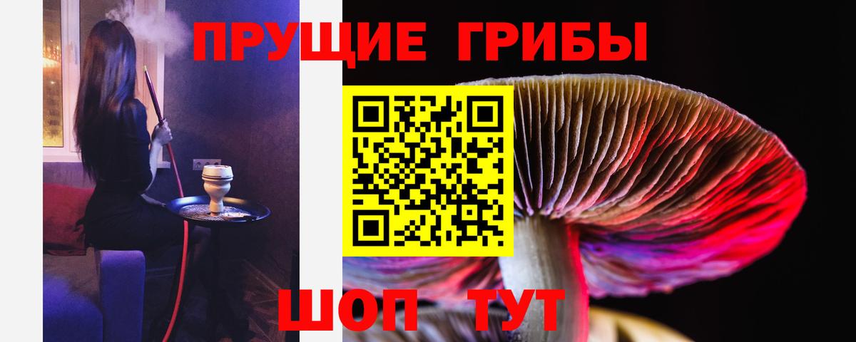 Иркутск  Галлюциногенные грибы ЛСД  Вход с VPN  купить закладку  Псилоцибиновые грибы Magic Shrooms 